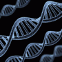 Nucleic acids